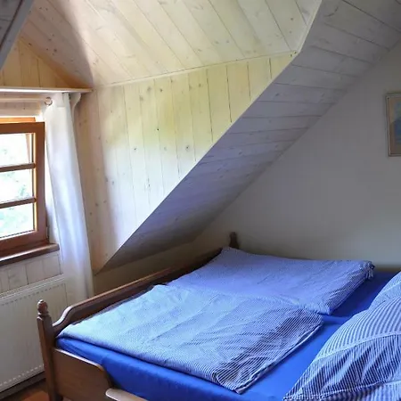 Apartament U Boruvky