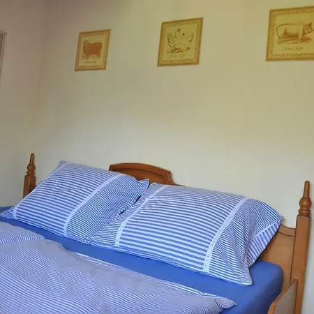 Apartament U Boruvky